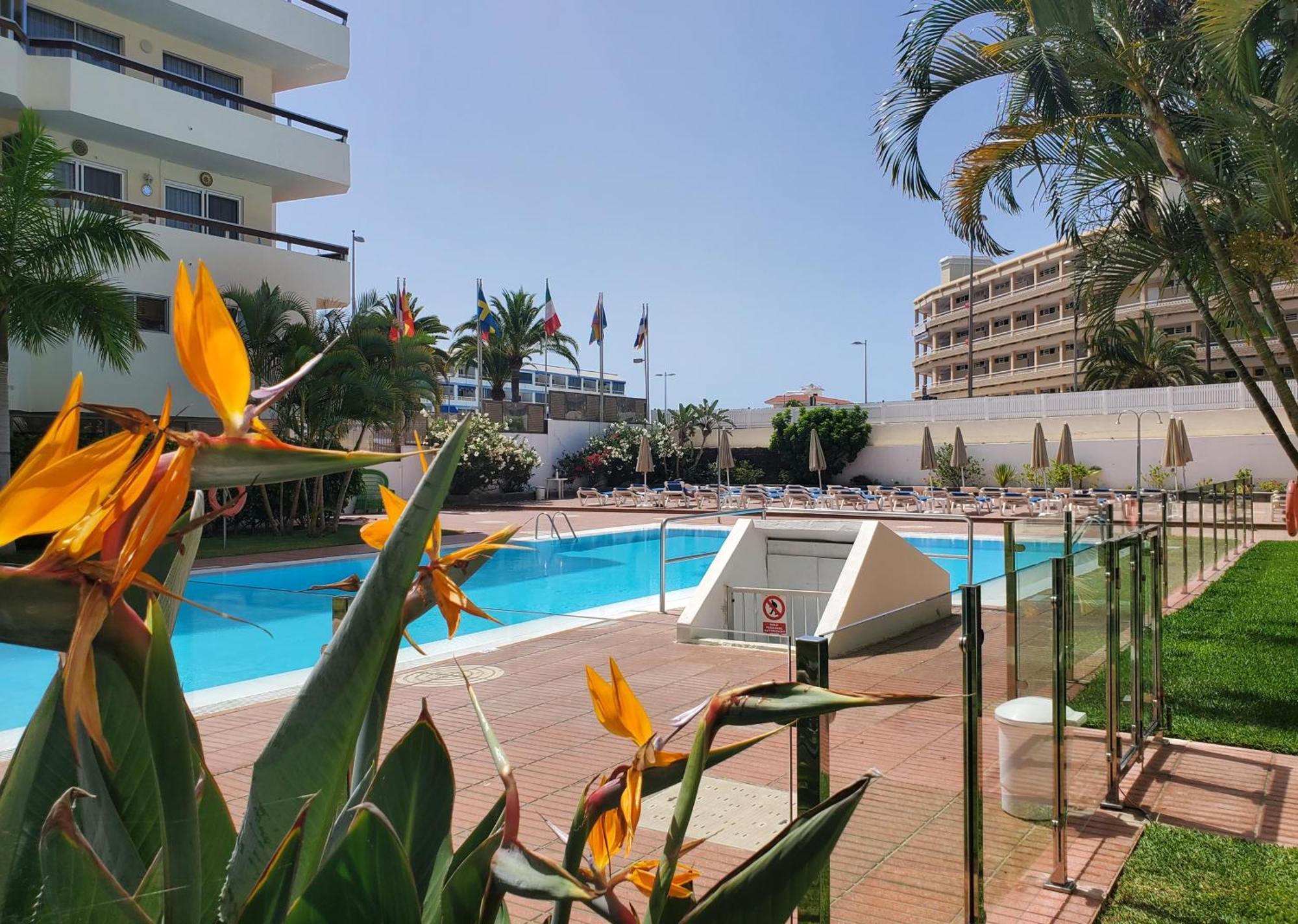 Las Camelias Apartments Ci15 Playa del Inglés Zewnętrze zdjęcie